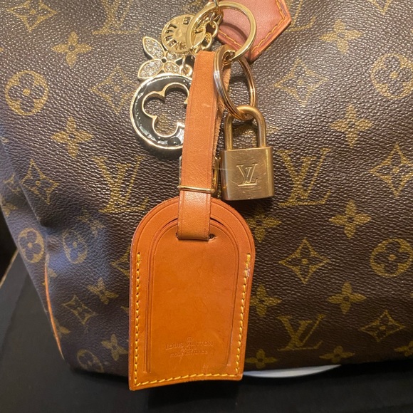 Louis Vuitton Luggage Tag and Lock (no key)-#19 - Picture 5 of 5